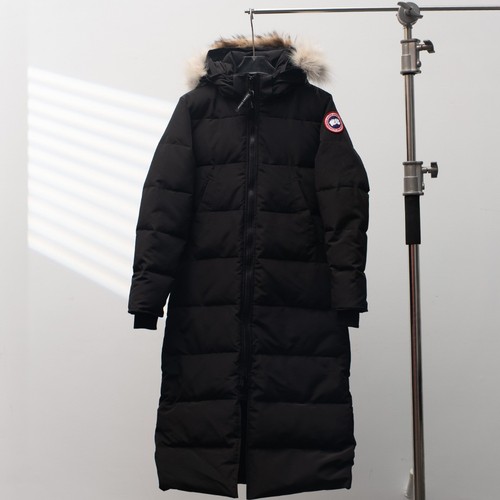 Canada goose black lady - goose,